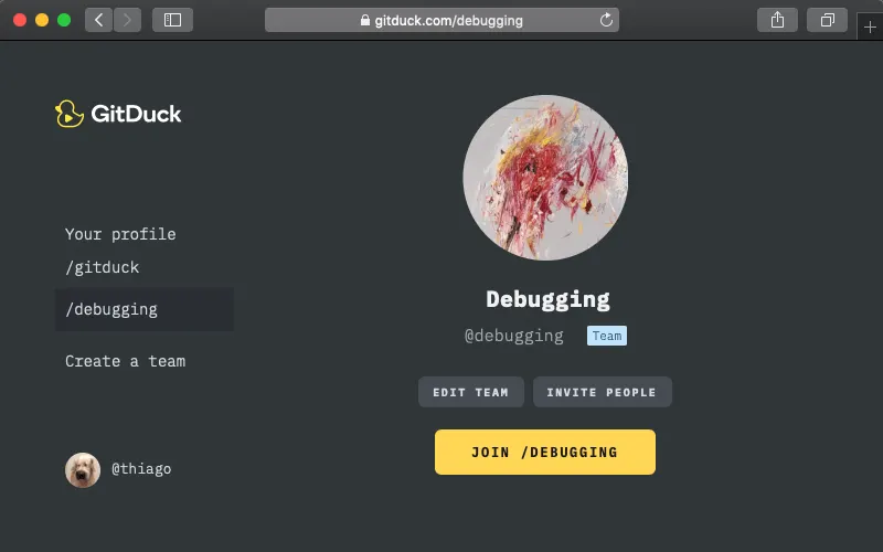 GitDuck team profile screen, a video call app for developers